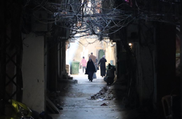 Everyday Life In The Alleyways Of Baddawi Camp, (C) E. Fiddian Qasmiyeh