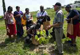 Commonwealth staff and students gather around a sapling