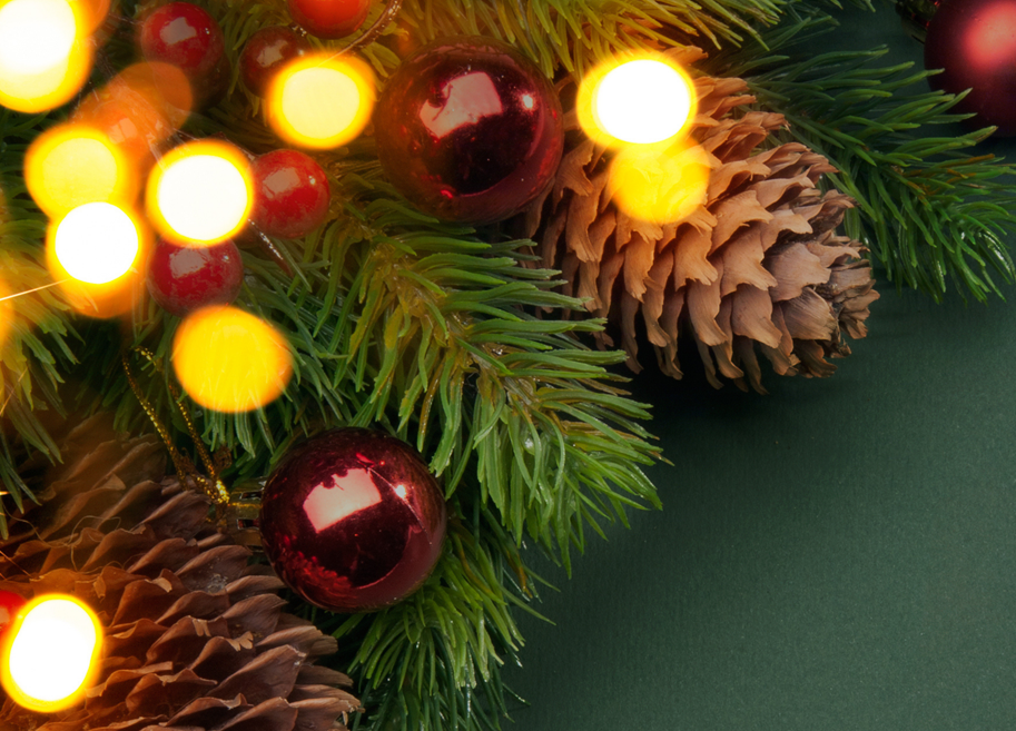 Graphic Featuring Acorns And Christmas Lights