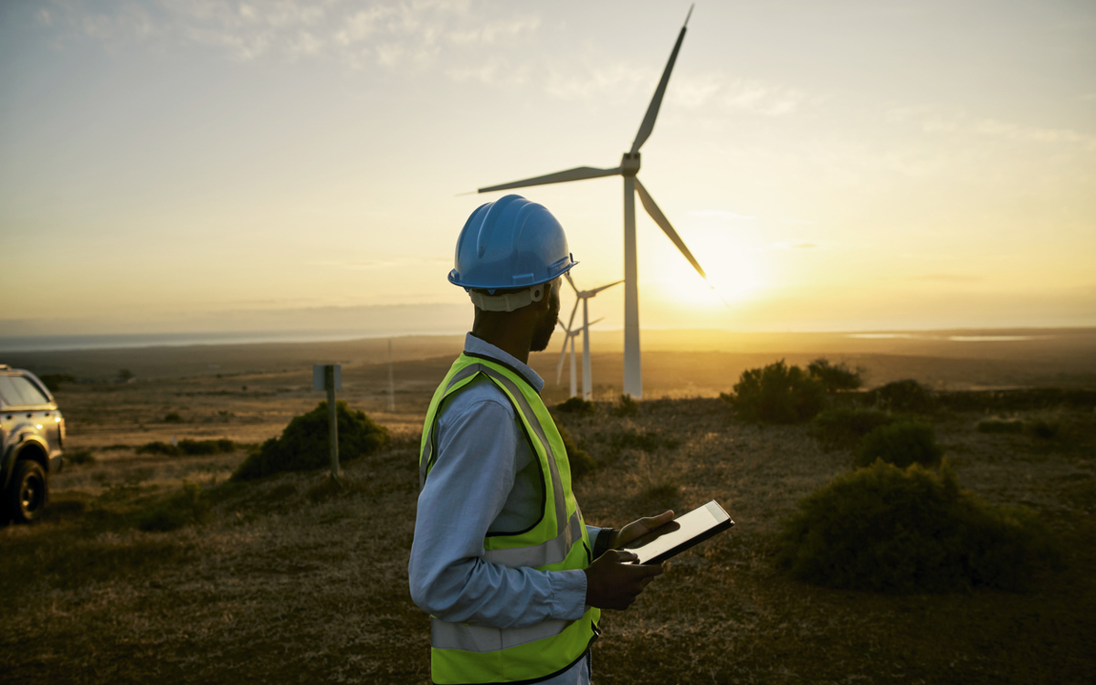 Safeguarding environmental and social sustainability in development ...